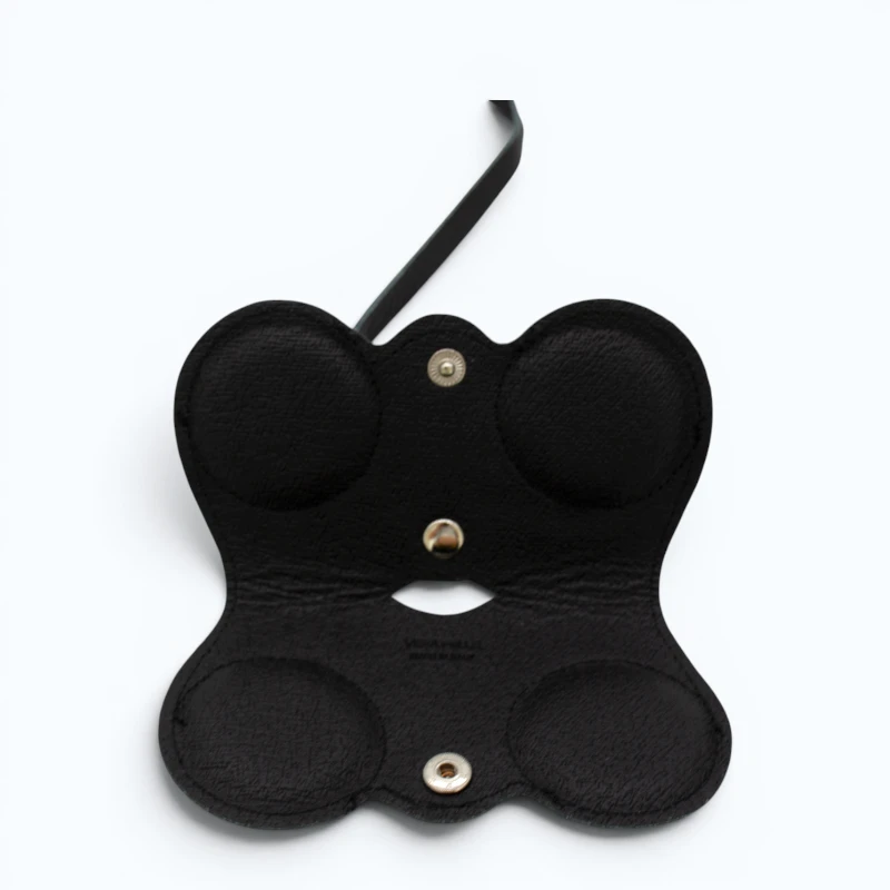 black leather sunflasses case interior